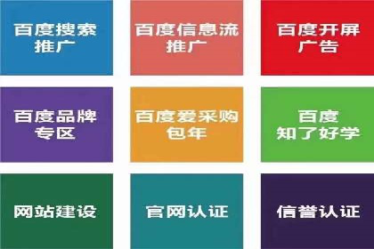 百度平台推广案例：低成本营销的成功之道